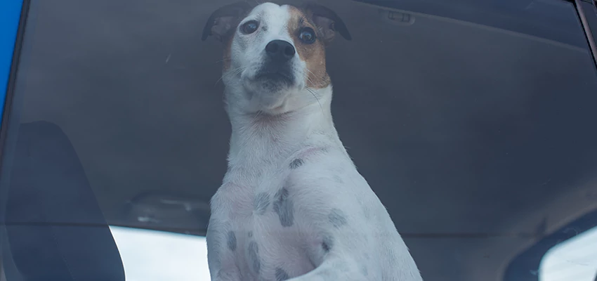 Car Lockout Solutions in San Diego Country Estates, California